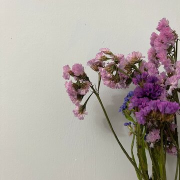 Purple statice flowers bouquet on white wall background