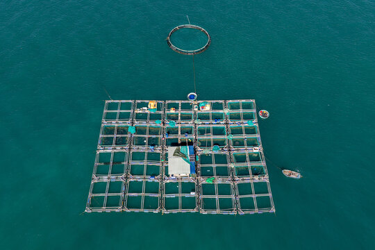 Aerial view of a floating fish farm with square aquaculture cages and a circular net in the turquoise sea near Mui Ne, Lam Dong, Vietnam.