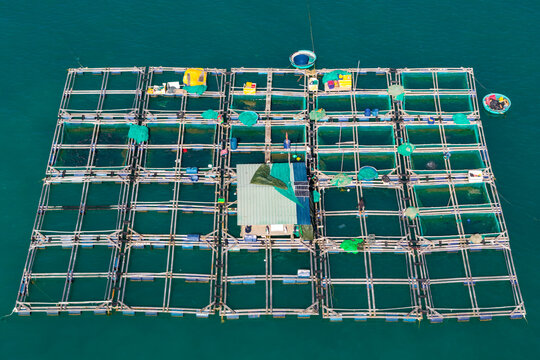Aerial view of a floating fish farm with a small central hut and aquaculture nets on the calm blue sea in Mui Ne, Lam Dong, Vietnam.