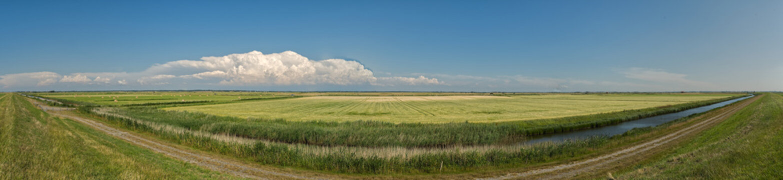 View of the vast drained marshland and green fields behind the sea dike in the Wadden Sea, with a drainage canal and large clouds in the blue sky, Osterende Ballum, Syddanmark, Denmark.