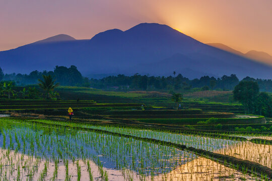View of Tegalalang rice terraces at sunrise with a farmer in a conical hat walking through the lush green fields against a backdrop of mountains in Tegalalang, Bali, Indonesia.