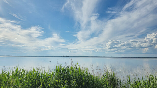 View of Steinhude lake with lush green reeds in the foreground under a bright blue sky with wispy clouds in Wunstorf, Lower Saxony, Germany.