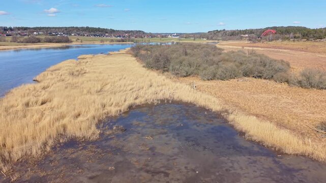 Aerial view of Nordre alv river flowing through wetlands with reeds and surrounding fields in Kungalv, Vastra Gotaland County, Sweden.
