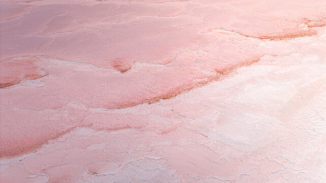 Aerial view of cracked pink salt crust and pale mineral layers forming an intricate organic pattern in France.