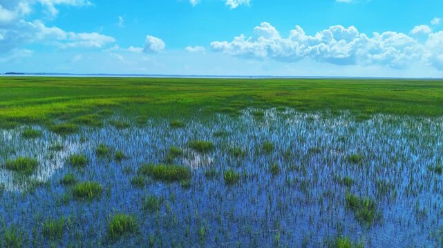 Aerial view of lush green salt marsh with tidal pools under a bright blue sky in Jekyll Island, Georgia, United States.