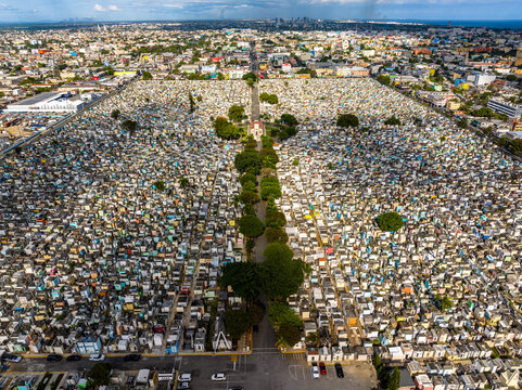 Aerial view of Maximo Gomez National Cemetery with dense rows of graves and a central tree-lined path in the urban landscape of Santo Domingo, Distrito Nacional, Dominican Republic.
