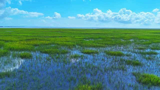 Aerial view of the expansive green marshlands and tidal waters of Jekyll Island, Georgia, United States.