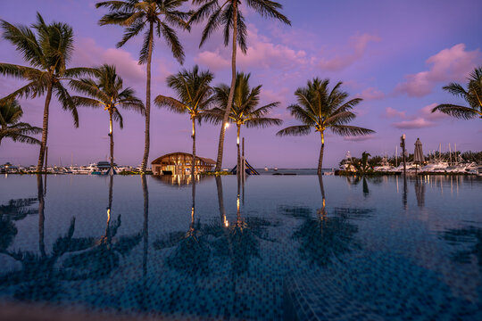 Aerial view of the infinity pool reflecting palm trees at sunset with the marina in the background at Club Nautico de Santo Domingo Inc. in Andres, Santo Domingo, Dominican Republic.
