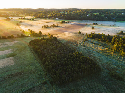 Aerial view of a lush forest patch surrounded by agricultural fields and morning mist during the golden hour in Hallesaker, Halland County, Sweden.
