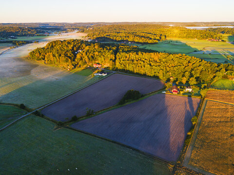 Aerial view of cultivated fields, dense forest patches, and farmhouses illuminated by the warm light of the golden hour in Hallesaker, Halland County, Sweden.