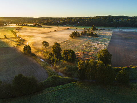Aerial view of a winding stream flowing through rural agricultural fields with scattered trees and morning mist during golden hour, Hallesaker, Halland County, Sweden.