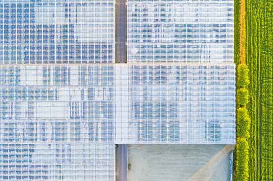 Aerial view of a large greenhouse complex with glass roofs, adjacent to a vibrant green field and a narrow road in Fjaras, Halland County, Sweden.