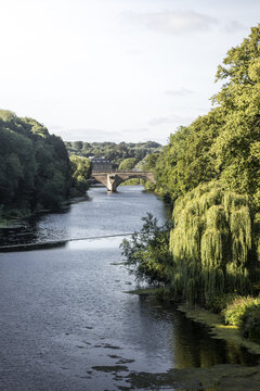 View of the River Wear flowing under a stone arch bridge surrounded by lush green trees and foliage in Durham, England, United Kingdom.