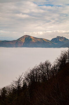 Aerial view of Stoh and Velky Rozsutec peaks rising above a thick layer of clouds in the Mala Fatra mountains, with foreground trees, Terchova, Zilina Region, Slovakia.