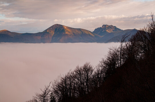 Aerial view of Stoh and Velky Rozsutec peaks in Mala Fatra rising above a thick sea of clouds with bare trees in the foreground under a soft sunset sky in Terchova, Zilina Region, Slovakia.