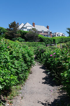 View down a path at a house roof behind hedge on Cliff Walk in Newport, Rhode Island