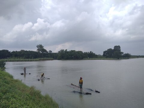 Kushtia, Khulna Division, Bangladesh - 27 April 2020: View of local people bathing water buffaloes in the river under a cloudy sky.