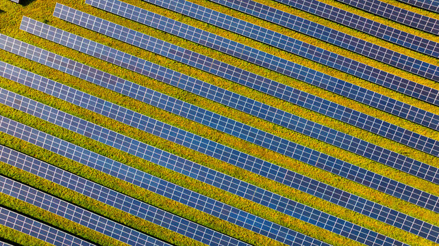 Aerial view of rows of solar panels installed in a green field, capturing the clean energy infrastructure. Dorset, England, United Kingdom.
