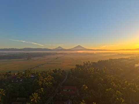 Aerial view of lush rice fields and palm trees at sunrise with distant volcanoes on the horizon in Kutoarjo, Central Java, Indonesia.