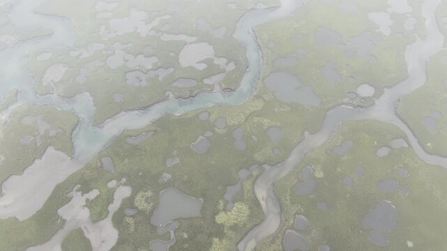 Thick clouds cover an extensive salt marsh in Pleasant Bay, Cape Cod. Marshes provide critical habitat for many birds, fish, and marine invertebrates to feed, mate, and nest.