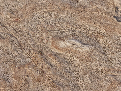 Aerial view of the cracked, parched earth of the Jadukata River bed with visible tire tracks and dry soil patterns in Sunamganj, Sylhet Division, Bangladesh.