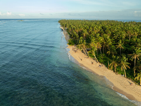 Aerial view of Mahaybo Beach with its golden sand, lush palm trees, and clear turquoise waters along the coastline in General Luna, Caraga, Philippines.