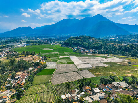 Aerial view of lush green rice fields and a small village nestled at the foot of mountains under a bright blue sky in Garut, West Java, Indonesia.