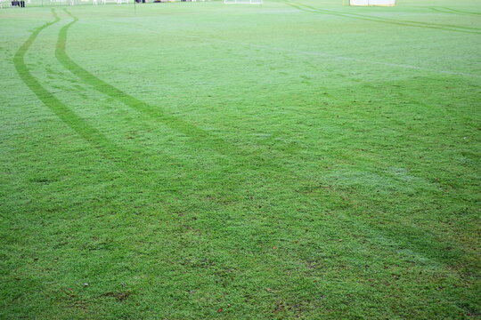 green grass background, exterior design