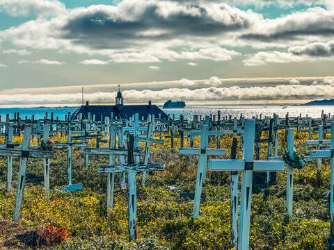 View of a cemetery with white wooden crosses and yellow wildflowers in the foreground, with a historic building and a cruise ship on the sea in the background, Greenland.