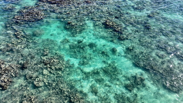 Aerial view of clear turquoise water over the rocky seabed and coral formations of Quemaito Beach, Barahona Province, Dominican Republic.