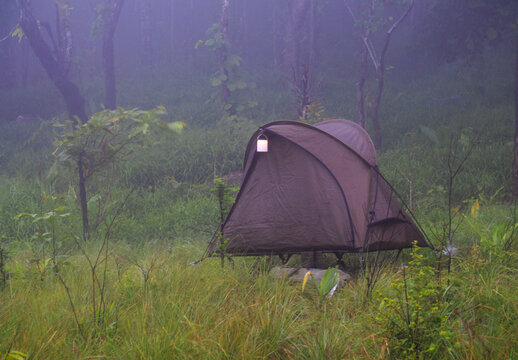 Camping Tents Pitched in Foggy Green Forest