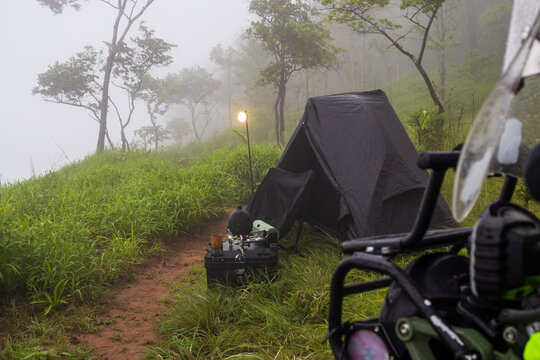 Camping Tents Pitched in Foggy Green Forest
