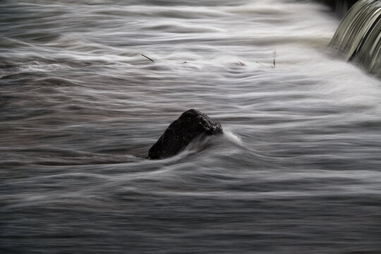 Smooth silky water motion flowing around a dark stone in a stream