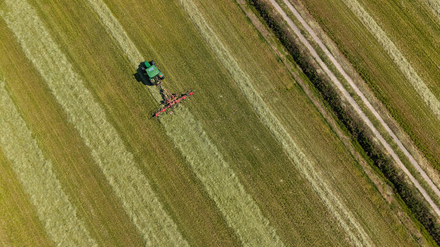 Aerial view of a tractor with a tedder attachment working in a field, turning and spreading freshly cut hay to improve drying in the summer sun in Milan, Lombardy, Italy.
