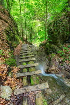 View of a wooden footbridge crossing a small stream in the lush Roth Gorge within the Slovak Paradise National Park, Stratena, Kosice Region, Slovakia.