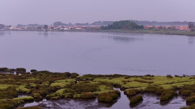 Aerial view of Aveiro Lagoon with marshy islands and calm water under an overcast sky in the Aveiro District, Portugal.