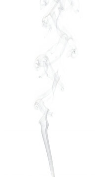 Elegant smoke swirls forming artistic abstract design patterns transparent background