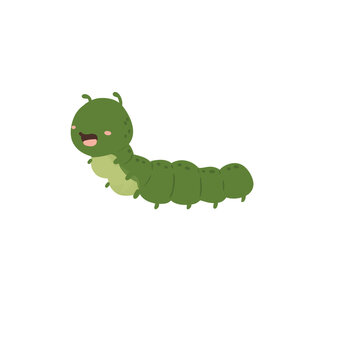 caterpillar on a leaf