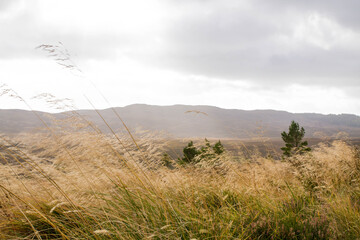 Obraz premium clouds in the mountains