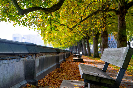 bench in the park