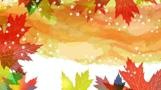 Colorful Autumn Leaves Falling 4K