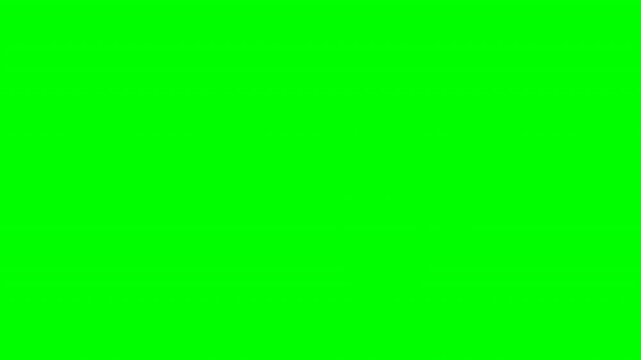 Brown oak acorn bobbing vertically on chroma key green screen for nature education