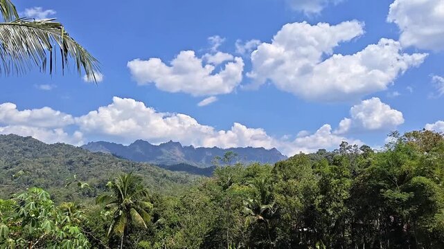 Tropical mountain landscape with lush green forest under dramatic cloudy blue sky, scenic nature view