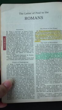 Opening to the book of Romans of the New Testament in the Holy Bible. New Revised Standard Version. Vertical video.