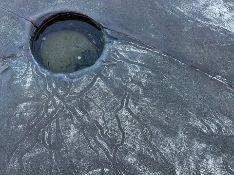 Macro image of water in a hole and periwinkle trails on a seaside rock.