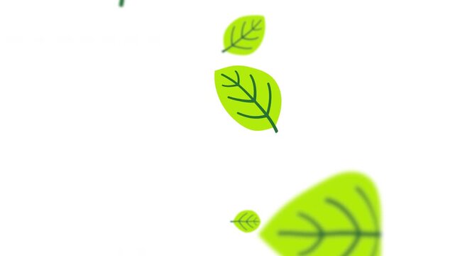 Scatter of cartoon green leaves blowing swiftly down on transparent alpha Prores Alpha 4K 60 fps