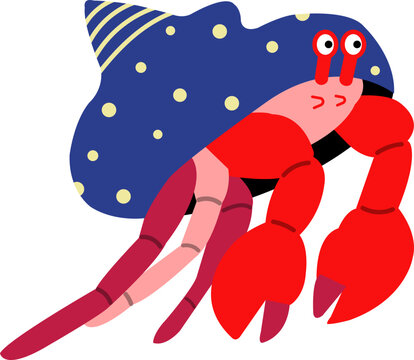 hermit crab