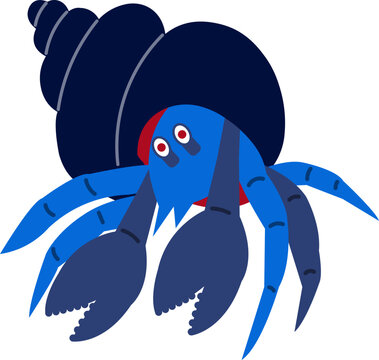 hermit crab