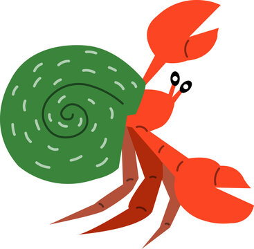 hermit crab