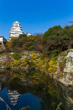 Scenic himeji castle with autumn foliage in Japan